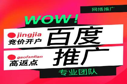 成功案例：网络推广与竞价广告的完美结合